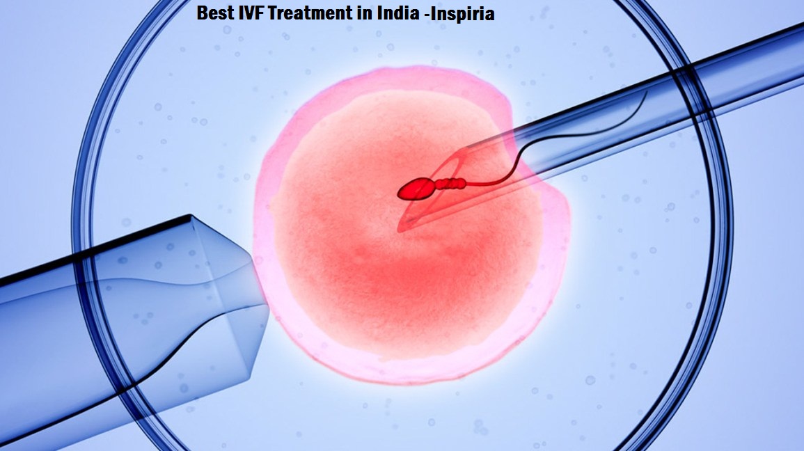 Best IVF Treatment in India